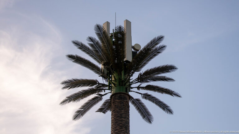 Artificial palm-shaped telecommunications tower with antenna equipment concealed among synthetic fronds.