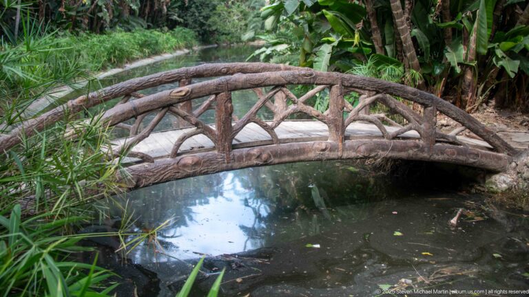 Small arched rustic bridge with branch-like railings crossing a dark pond amid dense tropical vegetation.