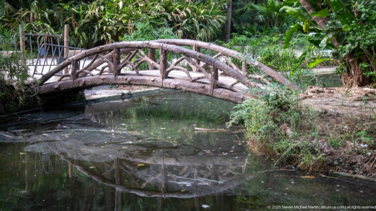 Rustic arched footbridge with branch-like railings spanning a narrow shaded pond or stream.