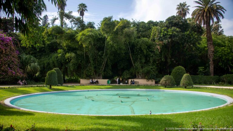 Large oval turquoise garden pool bordered by lawn, clipped topiary, palms, and dense trees.