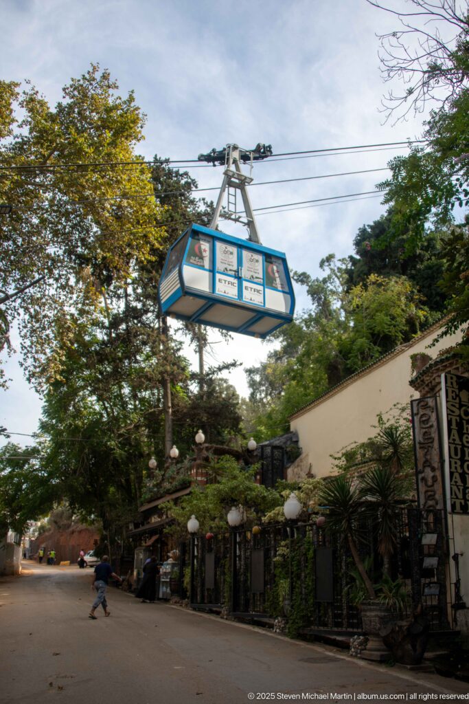 Blue-and-white cable-car cabin traveling above a tree-lined street with small buildings and outdoor seating below.