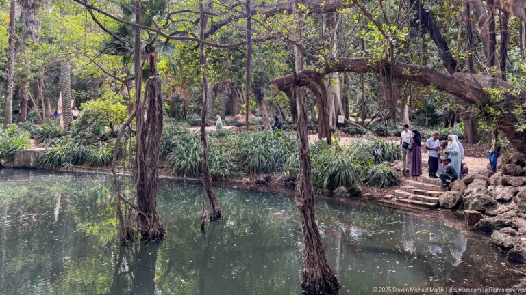 Shaded garden pond with tree trunks in the water, dense vegetation, and visitors standing on stone steps at the edge.
