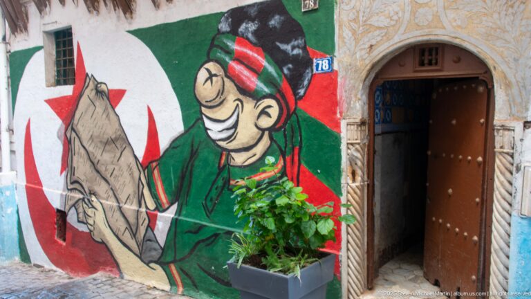 Colorful mural with Algerian flag motifs and a cartoon figure beside an ornate arched doorway and potted plant.