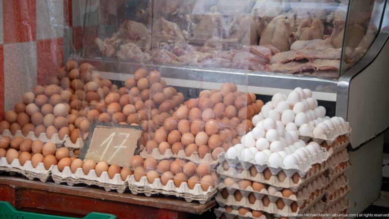 Stacks of brown and white eggs in cardboard trays at a market stall, with poultry visible behind glass.