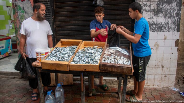 Two young vendors standing behind wooden trays of small silver fish at a street market stall.