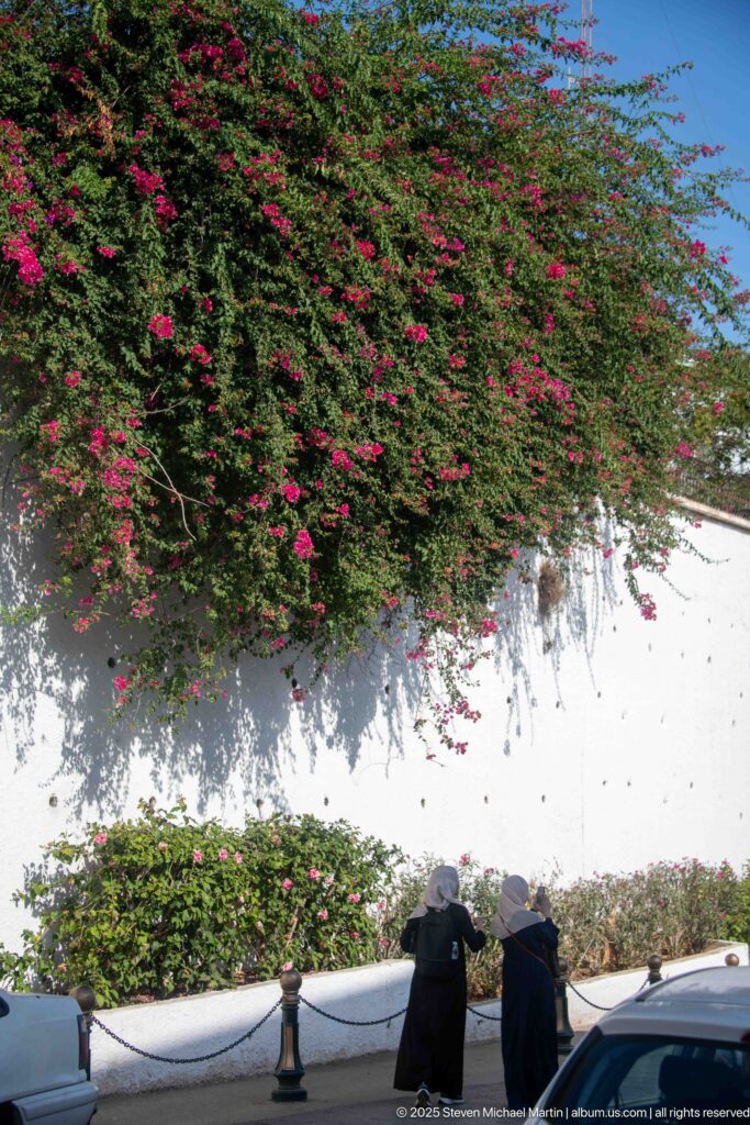 Two pedestrians walking beside a white wall beneath dense pink bougainvillea in bright sunlight.
