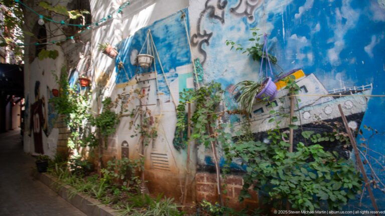 Blue mural-covered wall along a narrow Casbah passage filled with potted plants, vines, trelliswork, and greenery.