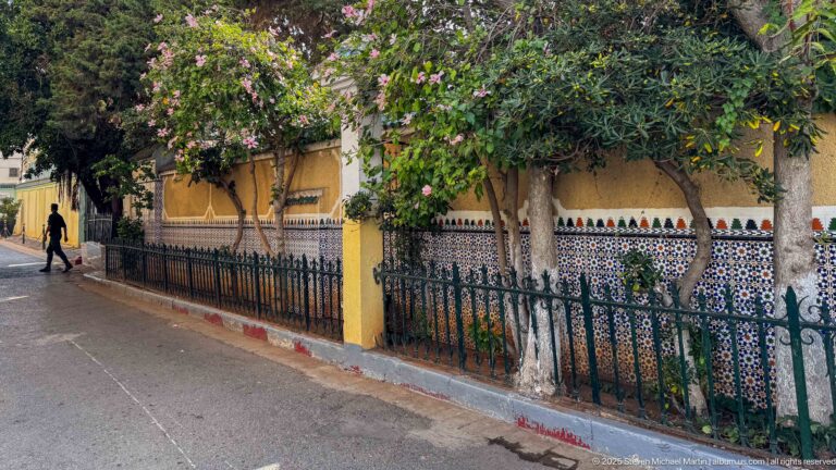 Tree-lined sidewalk beside a black iron fence, yellow wall, and patterned tilework, with flowering branches overhead.