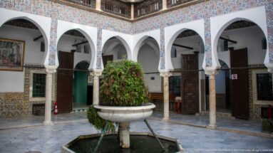 Palace courtyard with a raised stone fountain, leafy plant, white arches, spiral columns, tiled walls, and dark wooden doors.