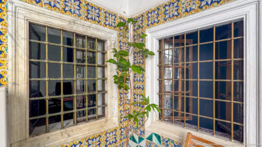 Two metal-barred windows at a corner, framed by blue-and-yellow patterned tiles with a green climbing plant between them.