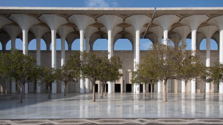 Slender trees line a polished courtyard beneath repeating white arches and branching columns.