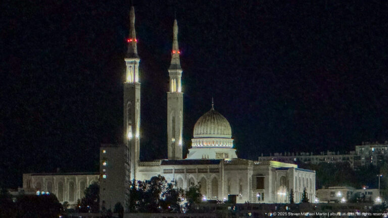 Twin illuminated minarets and ribbed dome of Amir Abdel Kader Mosque seen above trees and buildings at night.