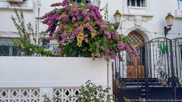 White villa entrance with black wrought-iron gate, arched wooden door, decorative lamps, and flowering magenta bougainvillea.
