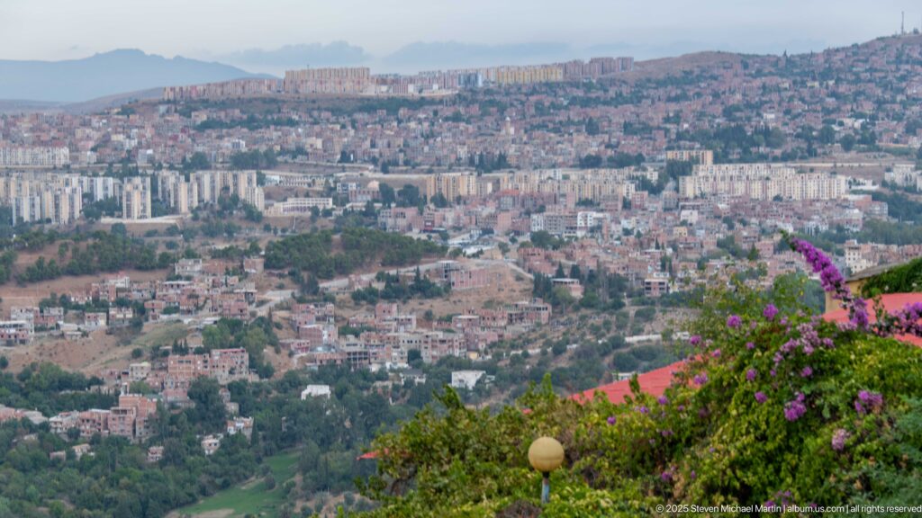 Wide elevated view across Constantine neighborhoods and apartment blocks, with flowering shrubs in the foreground.