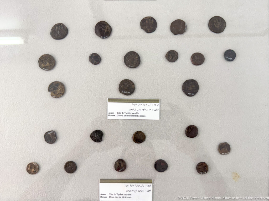 Rows of ancient dark-patinated coins arranged in a museum case with small bilingual labels between groups.