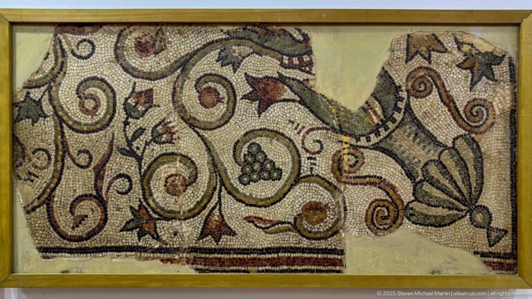 Decorative ancient mosaic fragment with curling vines, grape cluster, leaves, and fan-shaped motifs.