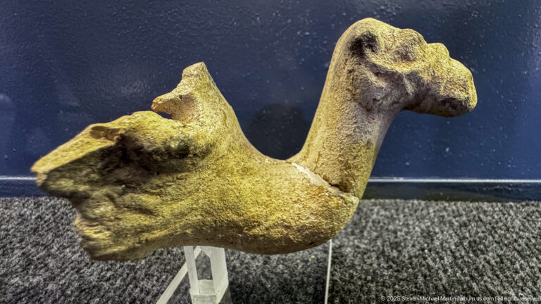 Weathered bird-shaped object with an elongated neck, broad projecting wings, and compact body.