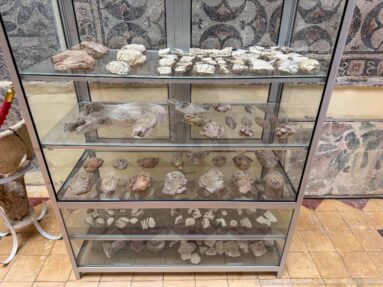 Glass museum case with small pottery and carved archaeological fragments arranged on shelves, with Roman mosaics behind it.