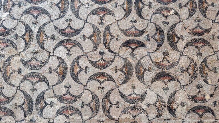Close-up of a Roman mosaic with repeating cream fan-shaped motifs outlined in black and accented with red tesserae.
