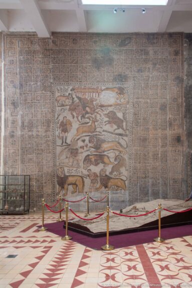 Wide Djemila Museum view of the Great Hunt Mosaic from the House of Bacchus above a red-carpeted barrier.