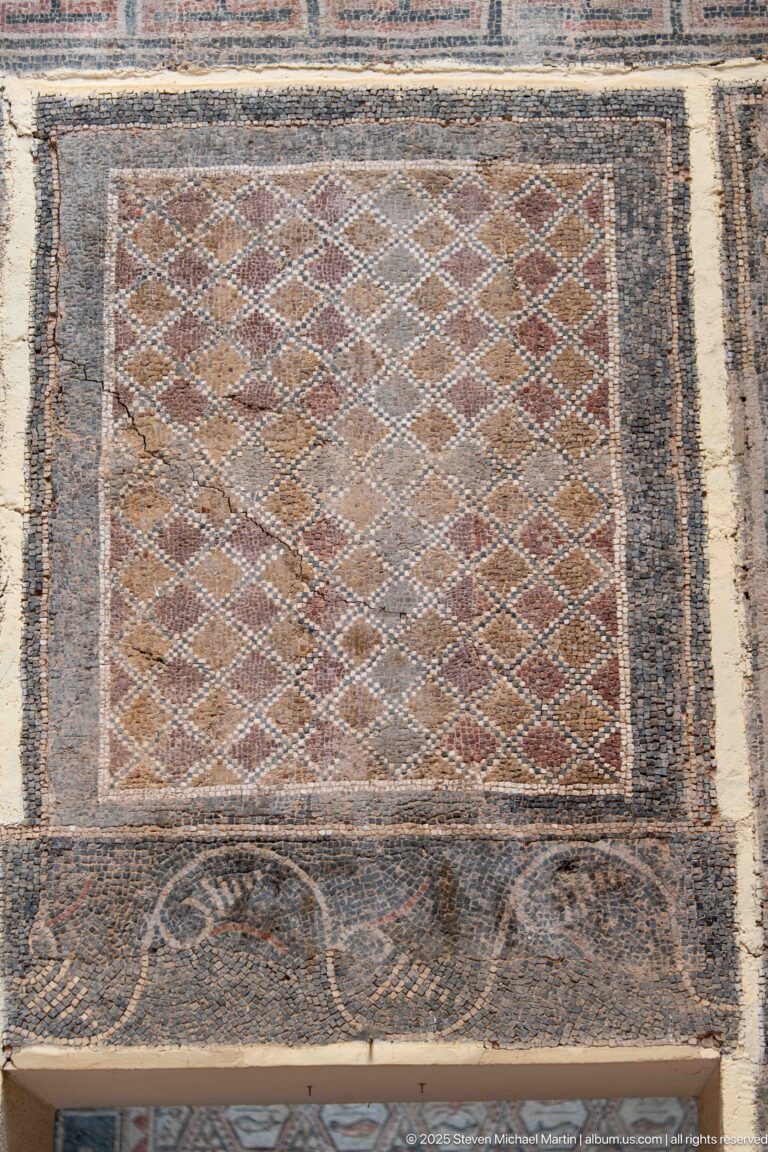 Worn rectangular Roman mosaic with a fine diagonal diamond lattice, dark borders, and a circular motif along the lower band.