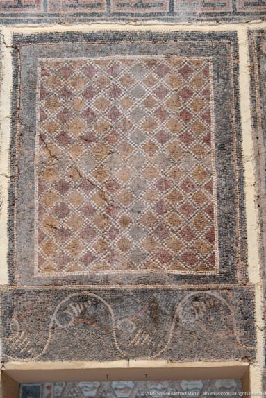 Worn rectangular Roman mosaic with a fine diagonal diamond lattice, dark borders, and a circular motif along the lower band.