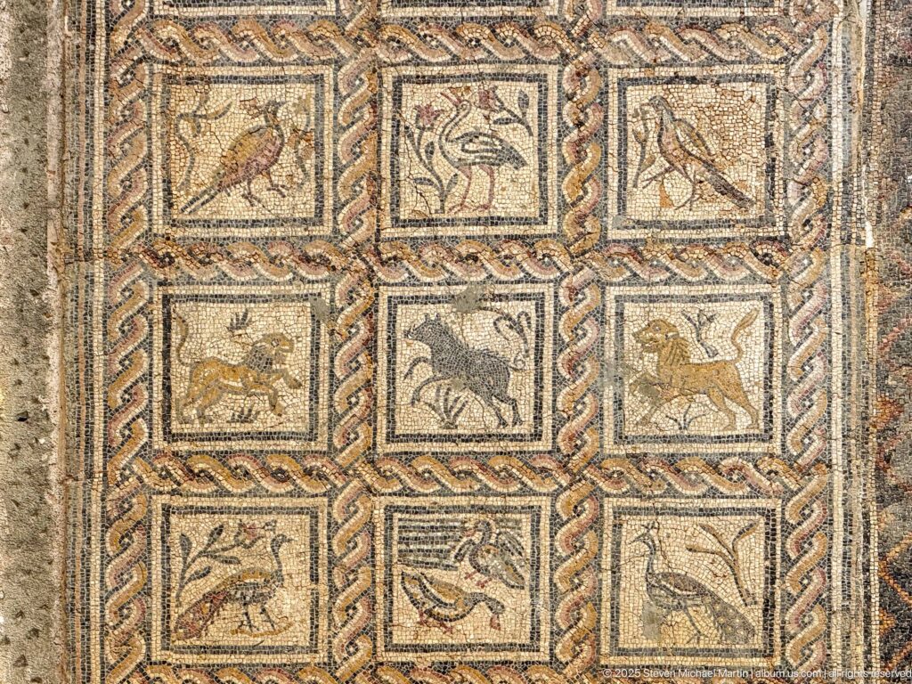 Roman mosaic divided into nine braided square panels, each containing a different bird or animal.