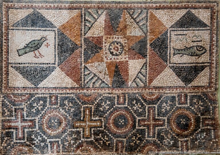 Roman mosaic detail with a bird, an eight-pointed star, a fish-like motif, and circular geometric designs.