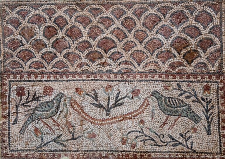 Roman mosaic with two facing birds, flowering branches, and a beaded garland below a scalloped geometric border.
