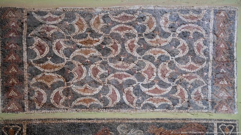 Roman mosaic with interlocking circular bands forming petal-like shapes in red, cream, black, and gray.