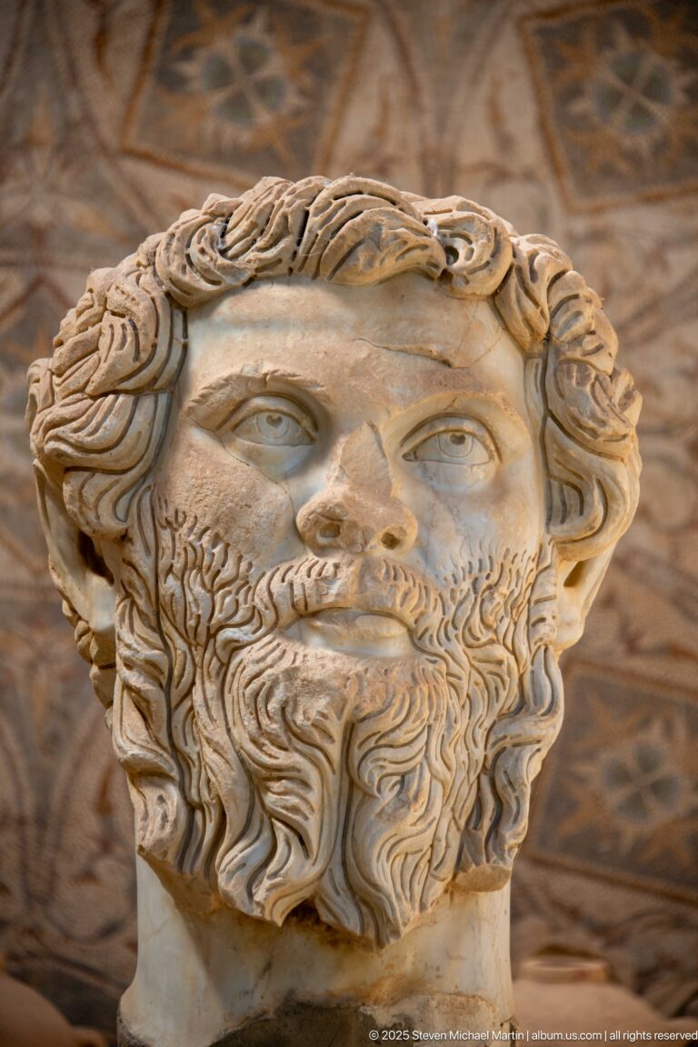 Colossal marble portrait head of Emperor Septimius Severus with deeply curled hair and a long divided beard.