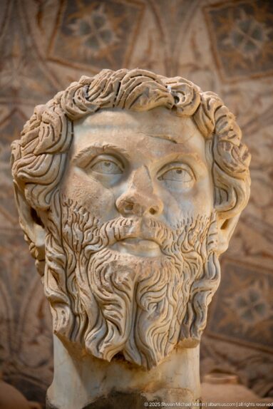 Colossal marble portrait head of Emperor Septimius Severus with deeply curled hair and a long divided beard.