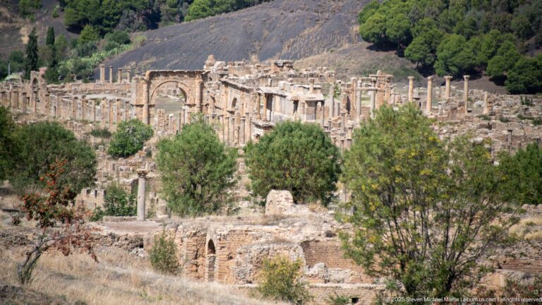 Wide view of Djemila ruins with columns, arches, walls, and trees across the ancient city.