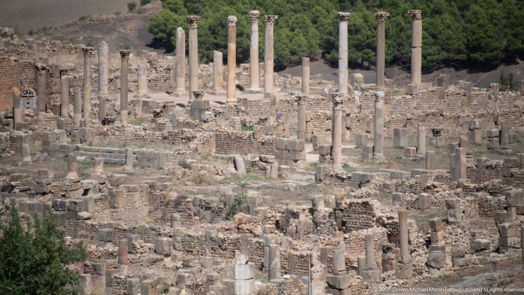 Elevated view across dense Roman ruins with numerous standing columns and masonry walls at Djemila.