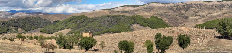 Cypress-like trees on a dry slope with a small building and rugged mountains near Djemila.