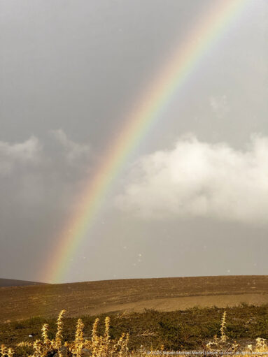 Bright rainbow descending from gray storm clouds over dry open plateau and grasses near Timgad.