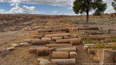 Rows of fallen stone column drums and carved architectural fragments spread across the open ruins at Timgad.