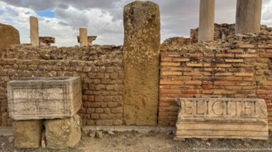 Carved stone blocks, including a Latin-inscribed fragment, displayed against ancient brickwork.