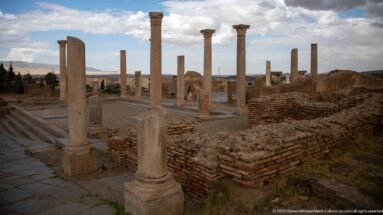Rows of Roman columns, steps, and brick foundations forming a public architectural complex at Timgad.