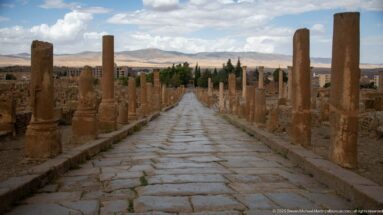 Paved Roman street lined with columns extending toward hills and modern buildings beyond Timgad.