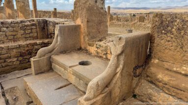 End view of a Roman stone latrine seat between heavy curved partitions within masonry ruins.