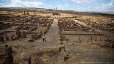 Elevated view along a broad street through Timgad’s ruins, lined by walls, column bases, and standing columns.