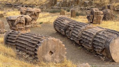 Large fallen fluted column drums lying on dry ground among carved capitals and stone fragments at Timgad.