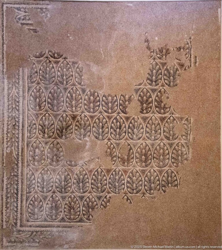 Fragmentary Roman mosaic with repeated circular leaf rosettes and a narrow patterned border.