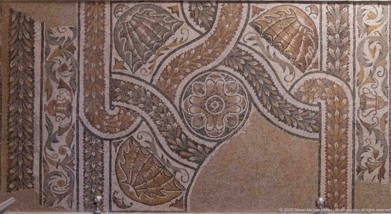 Roman mosaic fragment with curving bands, leafy ornament, and a small rosette medallion.