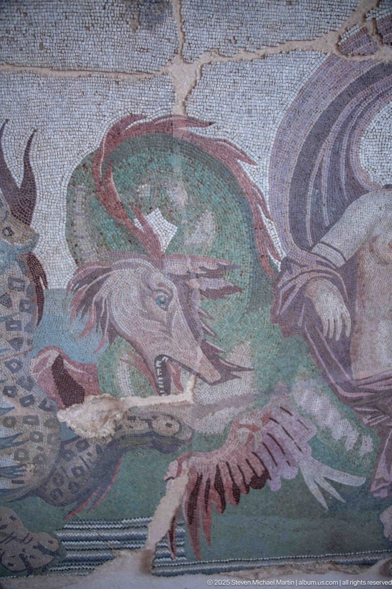 Fantastical marine creatures overlapping in a detail of Aspasios's Mosaic of the Nereids.