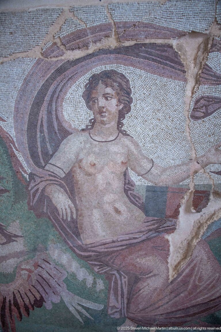 Nereid framed by a curling marine monster in the Mosaic of the Nereids by Aspasios.