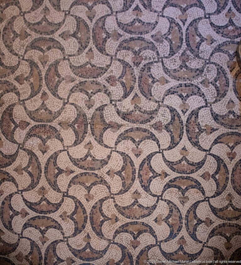 Black-and-white Roman mosaic pavement with interlocking curved bands forming repeated leaf-like or crescent-shaped units.