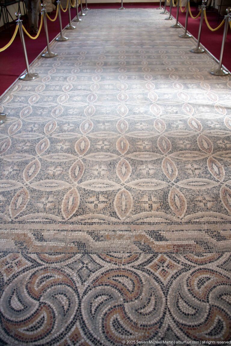 Roman floor mosaic with repeating linked ovals and curving border patterns in dark, light, and reddish tesserae.