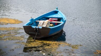 Blue wooden fishing boat with nets and gear moored in shallow water amid floating vegetation.